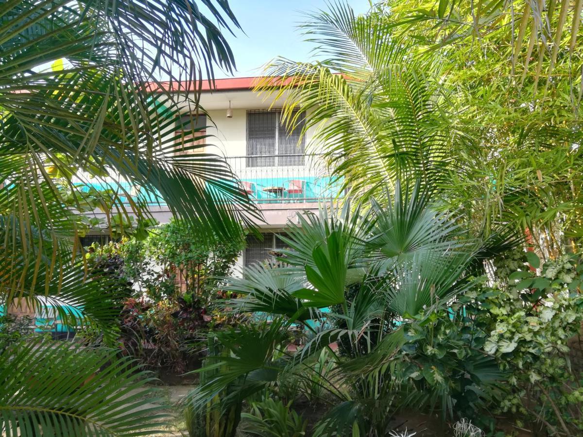Hostal Harvest House Leon Exterior photo
