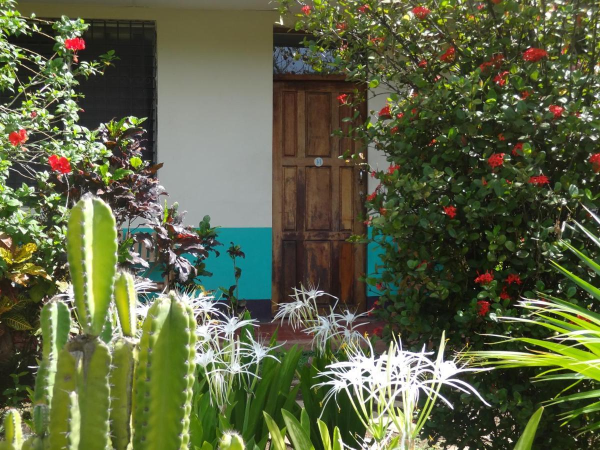 Hostal Harvest House Leon Exterior photo